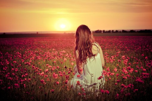 不以日月区分的整天