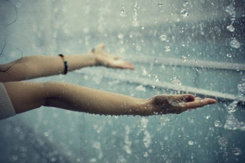 雨的情节 雨的情节