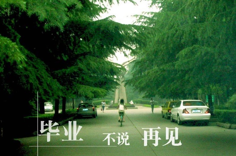 我怀念却不珍惜--致大学