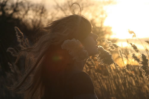 稻田里洒下的影子