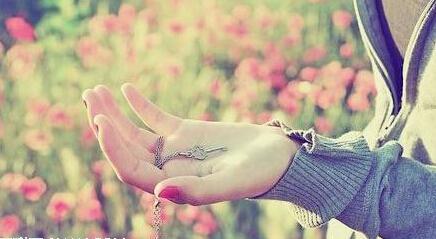 心灵的寄所 心灵的寄所