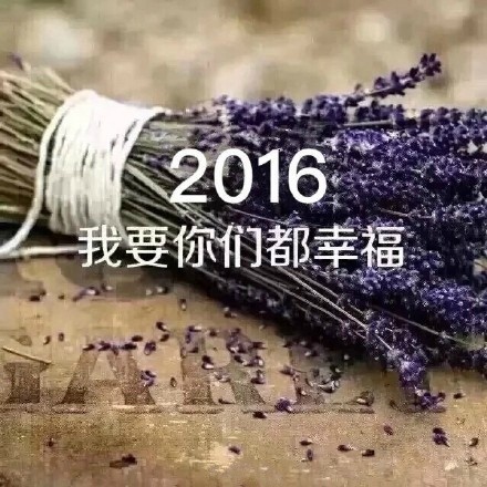 你好,2016 你好,2016
