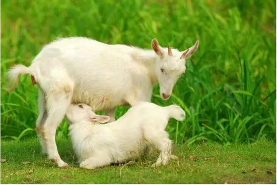 学会感恩 学会感恩