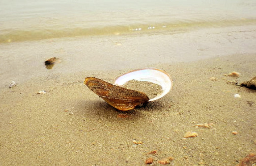 假如有一天…… 假如有一天……