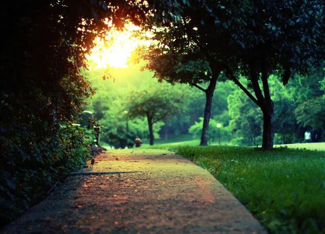 一寸光阴不可轻