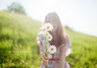 我所喜爱的那些花儿 我所喜爱的那些花儿