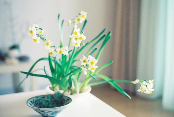 记住春天里的那些美好 记住春天里的那些美好