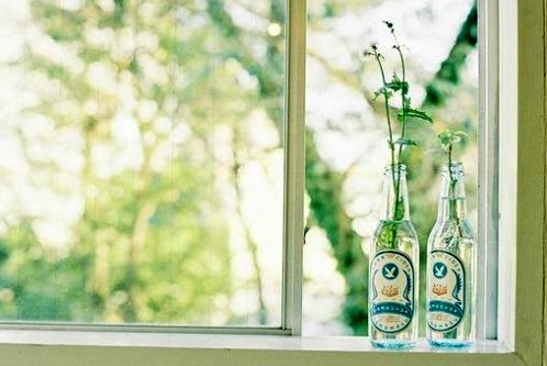 朝花夕拾,深情望念 朝花夕拾,深情望念