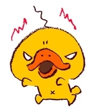 匹夫之怒 匹夫之怒