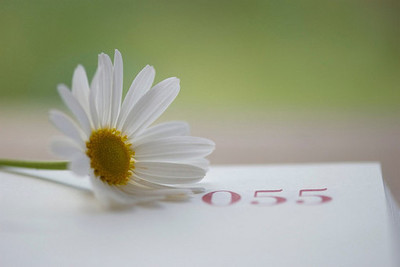 多味人生 多味人生