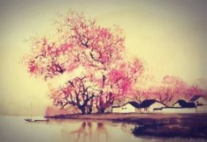 我在四季等你