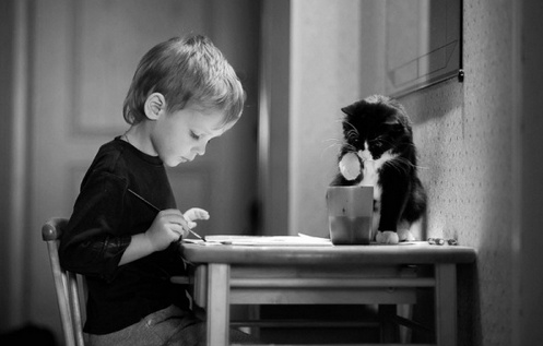 随笔（关于高考和考试)