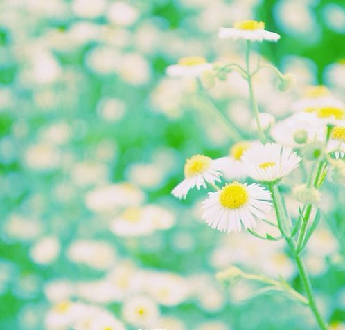 踏雨来访，只为寻找那一抹绿