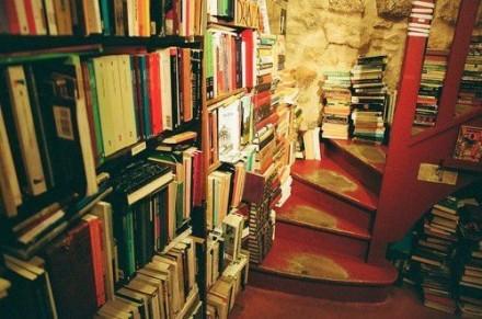 他憧憬着把自己养在文字里 他憧憬着把自己养在文字里