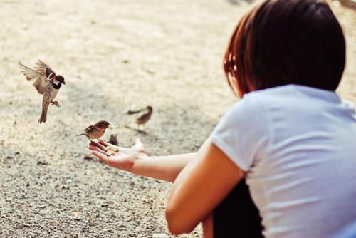 天空的日子 天空的日子