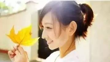 背阴的树叶 背阴的树叶