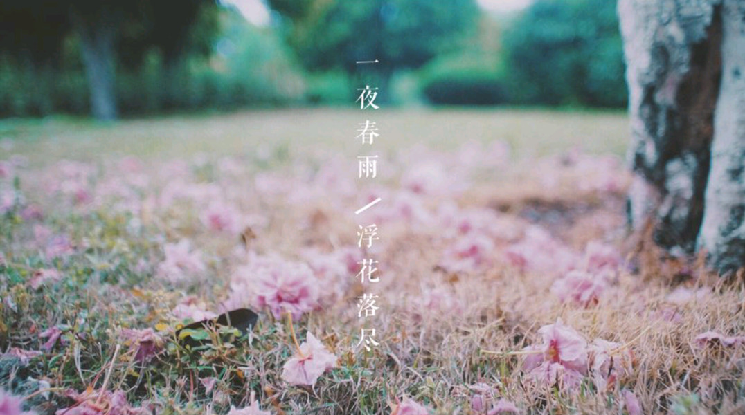花影轻走，满地秋